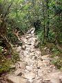 MaLaYsIa_-_MT_KiNaBaLu_79