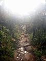 MaLaYsIa_-_MT_KiNaBaLu_81