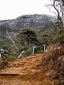MaLaYsIa_-_MT_KiNaBaLu_85