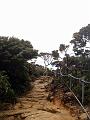 MaLaYsIa_-_MT_KiNaBaLu_88