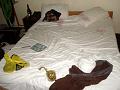 MaLaYsia_MiRi_20