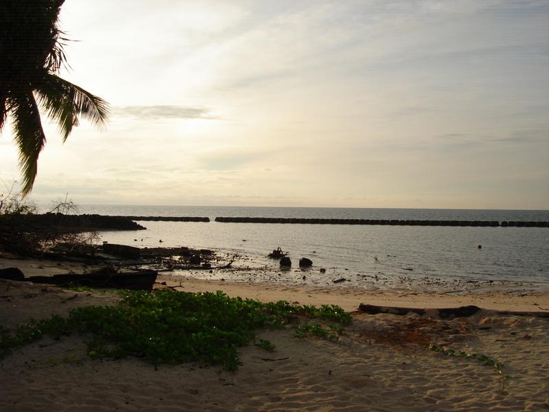 MaLaYsIa_-_PaLaU_SeLiNgAaN_(TuRtLe'S_IsLaNd)_102.jpg