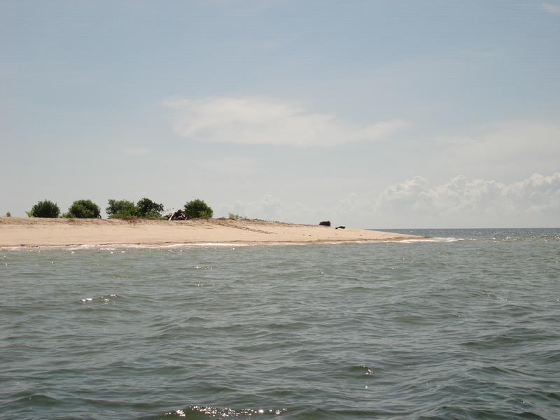 MaLaYsIa_-_PaLaU_SeLiNgAaN_(TuRtLe'S_IsLaNd)_22.jpg