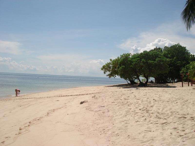 MaLaYsIa_-_PaLaU_SeLiNgAaN_(TuRtLe'S_IsLaNd)_32.jpg