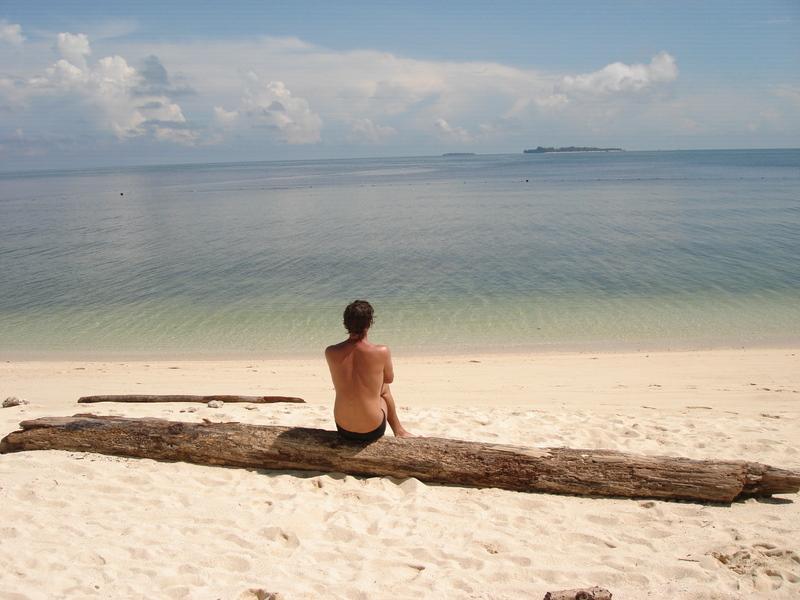 MaLaYsIa_-_PaLaU_SeLiNgAaN_(TuRtLe'S_IsLaNd)_38.jpg