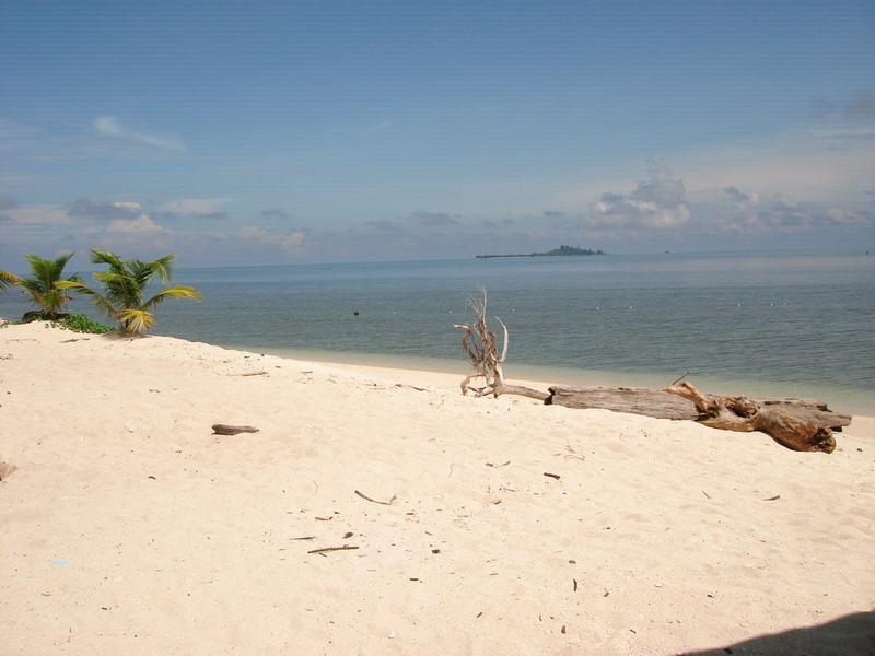 MaLaYsIa_-_PaLaU_SeLiNgAaN_(TuRtLe'S_IsLaNd)_43.jpg