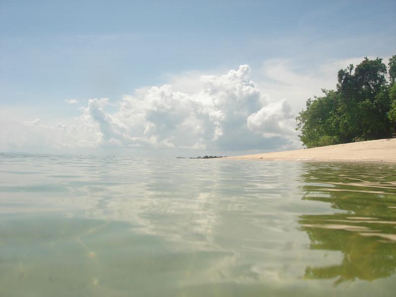 MaLaYsIa_-_PaLaU_SeLiNgAaN_(TuRtLe'S_IsLaNd)_48.jpg