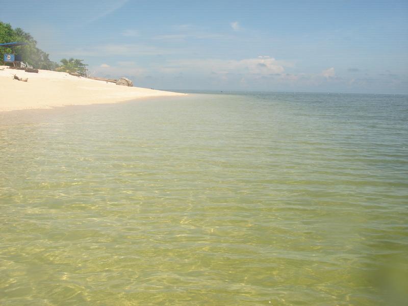 MaLaYsIa_-_PaLaU_SeLiNgAaN_(TuRtLe'S_IsLaNd)_49.jpg