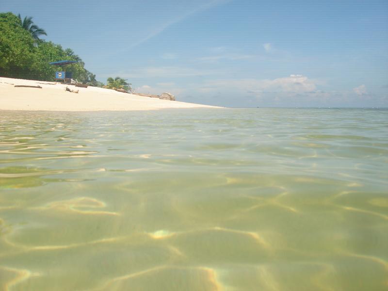 MaLaYsIa_-_PaLaU_SeLiNgAaN_(TuRtLe'S_IsLaNd)_51.jpg
