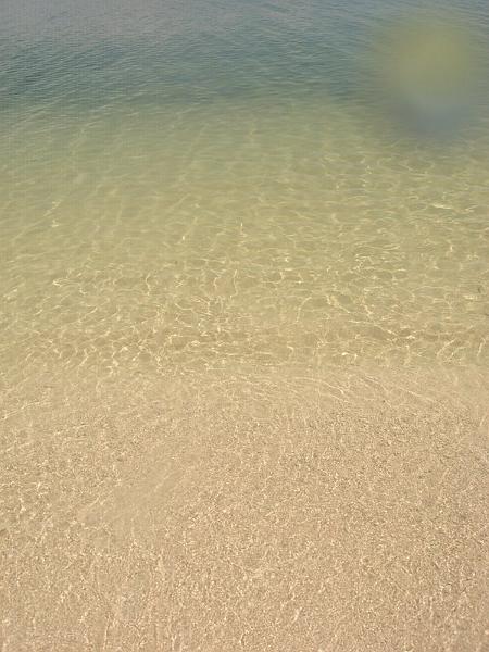 MaLaYsIa_-_PaLaU_SeLiNgAaN_(TuRtLe'S_IsLaNd)_56.jpg