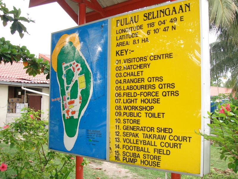 MaLaYsIa_-_PaLaU_SeLiNgAaN_(TuRtLe'S_IsLaNd)_93.jpg
