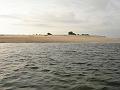 MaLaYsIa_-_PaLaU_SeLiNgAaN_(TuRtLe'S_IsLaNd)_110