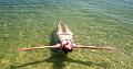 MaLaYsIa_-_PaLaU_SeLiNgAaN_(TuRtLe'S_IsLaNd)_28