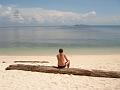 MaLaYsIa_-_PaLaU_SeLiNgAaN_(TuRtLe'S_IsLaNd)_35