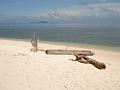 MaLaYsIa_-_PaLaU_SeLiNgAaN_(TuRtLe'S_IsLaNd)_44