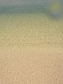 MaLaYsIa_-_PaLaU_SeLiNgAaN_(TuRtLe'S_IsLaNd)_56