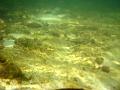 MaLaYsIa_-_PaLaU_SeLiNgAaN_(TuRtLe'S_IsLaNd)_64
