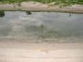 MaLaYsIa_-_PaLaU_SeLiNgAaN_(TuRtLe'S_IsLaNd)_87
