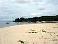 MaLaYsIa_-_PaLaU_SeLiNgAaN_(TuRtLe'S_IsLaNd)_91