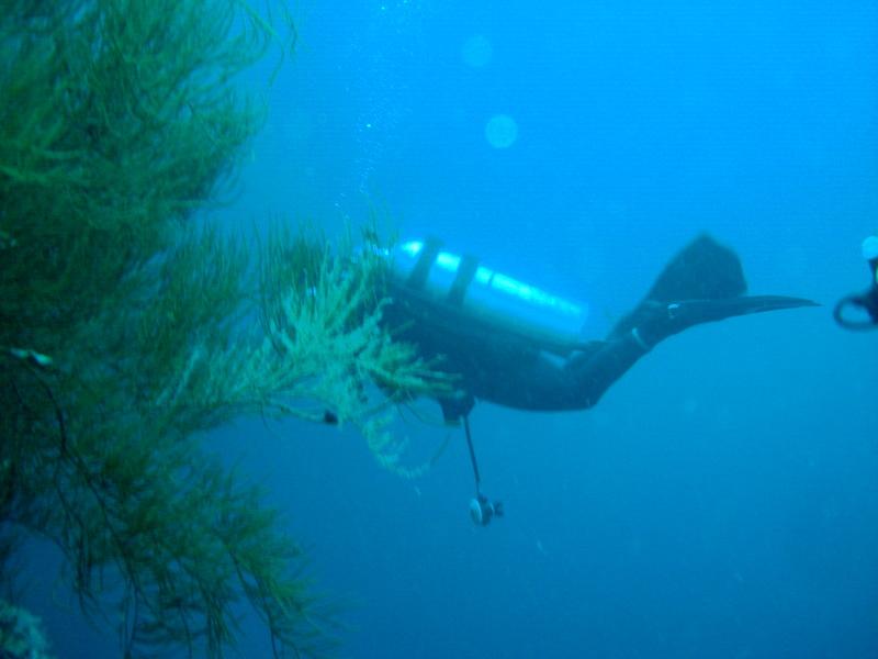 MaLaYsIa_-_PaLaU_SiPaDaN_-_PaLaU_MaBuL_102.JPG