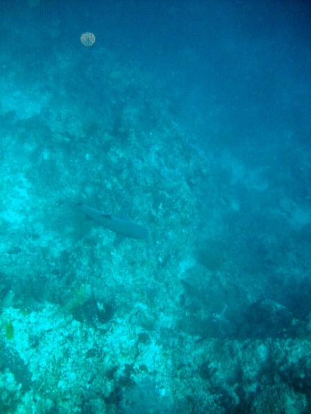 MaLaYsIa_-_PaLaU_SiPaDaN_-_PaLaU_MaBuL_106.JPG