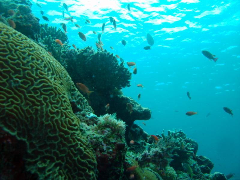 MaLaYsIa_-_PaLaU_SiPaDaN_-_PaLaU_MaBuL_132.JPG