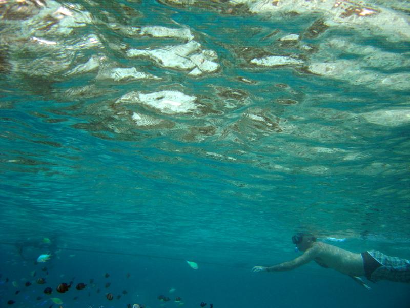 MaLaYsIa_-_PaLaU_SiPaDaN_-_PaLaU_MaBuL_155.JPG