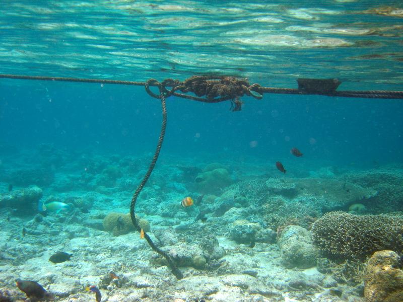 MaLaYsIa_-_PaLaU_SiPaDaN_-_PaLaU_MaBuL_166.JPG