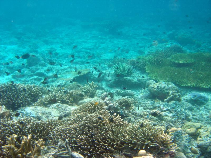 MaLaYsIa_-_PaLaU_SiPaDaN_-_PaLaU_MaBuL_169.JPG