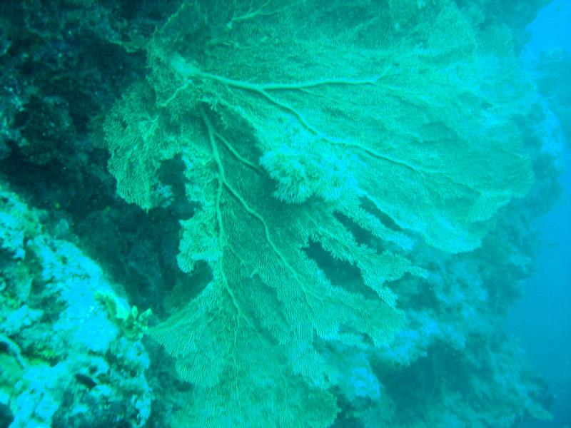 MaLaYsIa_-_PaLaU_SiPaDaN_-_PaLaU_MaBuL_181.JPG