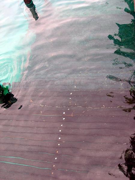 MaLaYsIa_-_PaLaU_SiPaDaN_-_PaLaU_MaBuL_235.JPG