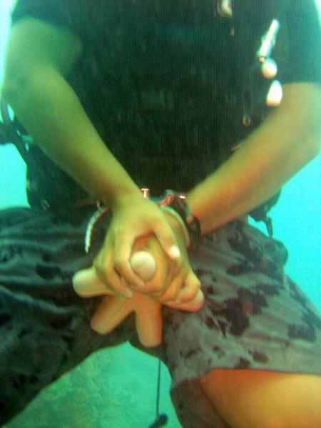 MaLaYsIa_-_PaLaU_SiPaDaN_-_PaLaU_MaBuL_361.JPG