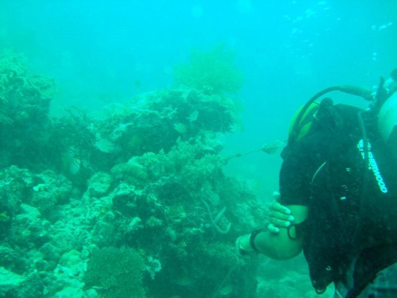 MaLaYsIa_-_PaLaU_SiPaDaN_-_PaLaU_MaBuL_373.JPG
