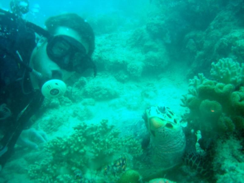 MaLaYsIa_-_PaLaU_SiPaDaN_-_PaLaU_MaBuL_446.JPG