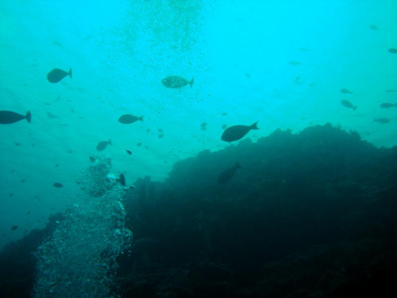 MaLaYsIa_-_PaLaU_SiPaDaN_-_PaLaU_MaBuL_49.JPG