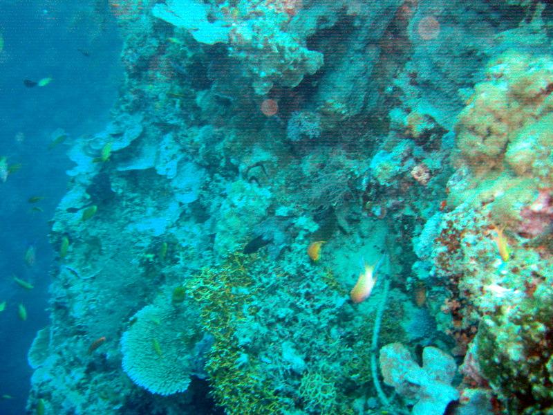 MaLaYsIa_-_PaLaU_SiPaDaN_-_PaLaU_MaBuL_70.JPG