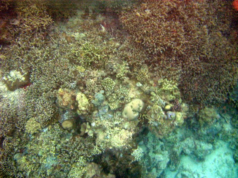 MaLaYsIa_-_PaLaU_SiPaDaN_-_PaLaU_MaBuL_79.JPG