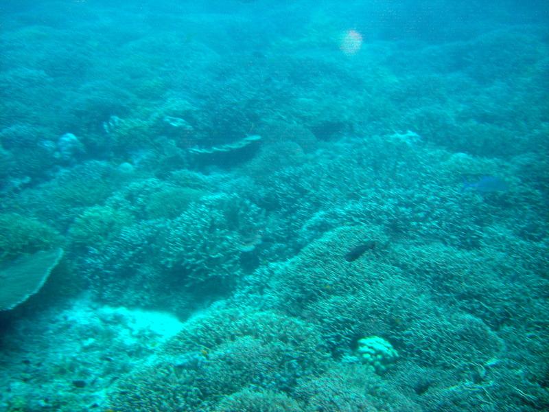 MaLaYsIa_-_PaLaU_SiPaDaN_-_PaLaU_MaBuL_81.JPG