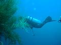 MaLaYsIa_-_PaLaU_SiPaDaN_-_PaLaU_MaBuL_102