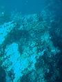 MaLaYsIa_-_PaLaU_SiPaDaN_-_PaLaU_MaBuL_104