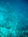 MaLaYsIa_-_PaLaU_SiPaDaN_-_PaLaU_MaBuL_106