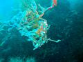 MaLaYsIa_-_PaLaU_SiPaDaN_-_PaLaU_MaBuL_108