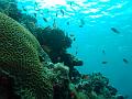 MaLaYsIa_-_PaLaU_SiPaDaN_-_PaLaU_MaBuL_132