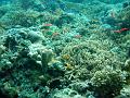 MaLaYsIa_-_PaLaU_SiPaDaN_-_PaLaU_MaBuL_136