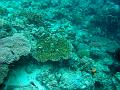 MaLaYsIa_-_PaLaU_SiPaDaN_-_PaLaU_MaBuL_141