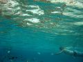 MaLaYsIa_-_PaLaU_SiPaDaN_-_PaLaU_MaBuL_155