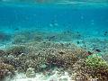 MaLaYsIa_-_PaLaU_SiPaDaN_-_PaLaU_MaBuL_158