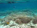 MaLaYsIa_-_PaLaU_SiPaDaN_-_PaLaU_MaBuL_167