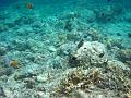 MaLaYsIa_-_PaLaU_SiPaDaN_-_PaLaU_MaBuL_168