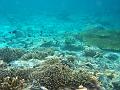 MaLaYsIa_-_PaLaU_SiPaDaN_-_PaLaU_MaBuL_169